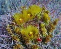 photo thumbnail #9