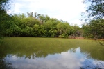 photo thumbnail #2