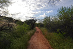 photo thumbnail #5