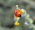 photo thumbnail #11