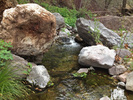 photo thumbnail #9