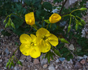 photo thumbnail #14