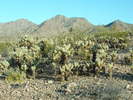 photo thumbnail #3