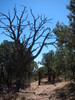 photo thumbnail #3