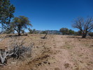 photo thumbnail #6