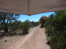 photo thumbnail #9