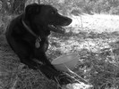 photo thumbnail #11