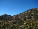 photo thumbnail #13