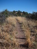 photo thumbnail #14