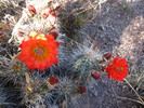 photo thumbnail #15