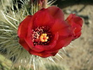 photo thumbnail #4
