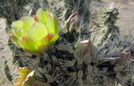 photo thumbnail #13