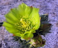 photo thumbnail #14