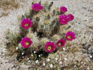photo thumbnail #7