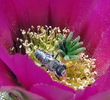 photo thumbnail #8