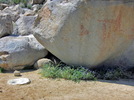 photo thumbnail #12