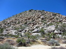 photo thumbnail #13