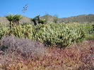 photo thumbnail #5
