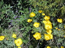 photo thumbnail #7