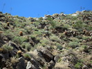 photo thumbnail #14