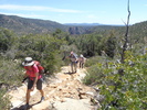 photo thumbnail #12