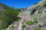 photo thumbnail #1