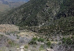 photo thumbnail #9
