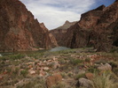 photo thumbnail #15