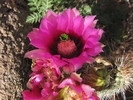 photo thumbnail #2