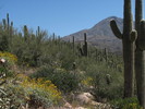 photo thumbnail #7