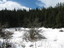 photo thumbnail #12