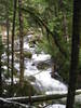 photo thumbnail #15