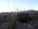 photo thumbnail #1