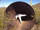 photo thumbnail #2