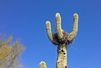 photo thumbnail #5