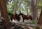 photo thumbnail #9