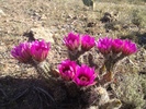photo thumbnail #1