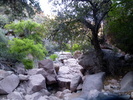 photo thumbnail #3