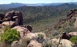 photo thumbnail #10