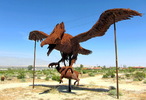 photo thumbnail #15