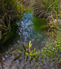 photo thumbnail #14