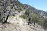 photo thumbnail #7