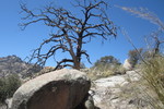photo thumbnail #8