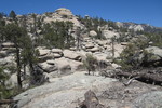 photo thumbnail #11
