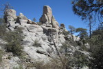 photo thumbnail #12