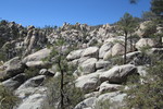 photo thumbnail #13