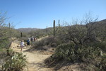 photo thumbnail #1