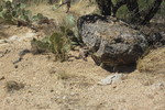 photo thumbnail #7