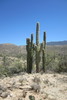 photo thumbnail #10