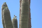 photo thumbnail #11